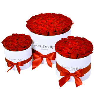 Natural Rosen Box