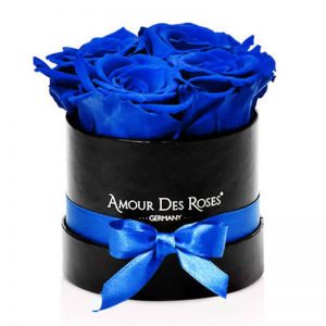 Black-Baby-Blue-Flowerbox