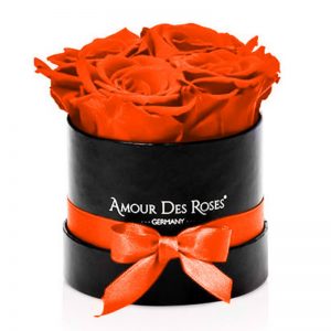 Black-Baby-Orange-Flowerbox