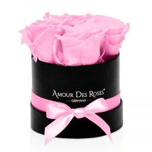 Black-Baby-Rose-Flowerbox