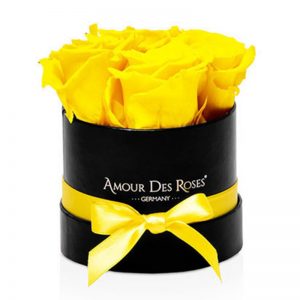 Black-Baby-Yellow-Flowerbox