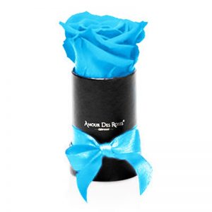 Black-Mini-Babyblue-Flowerbox