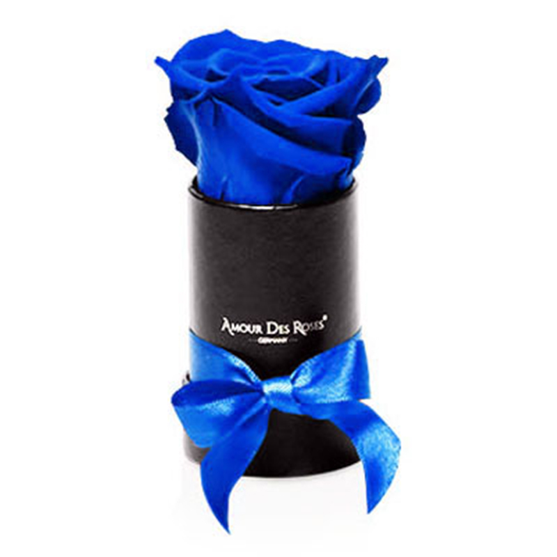 Black-Mini-Blue-Flowerbox