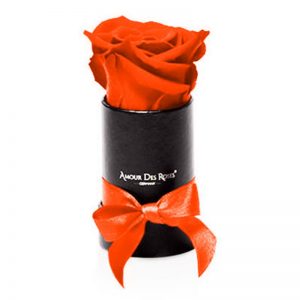 Black-Mini-Orange-Flowerbox