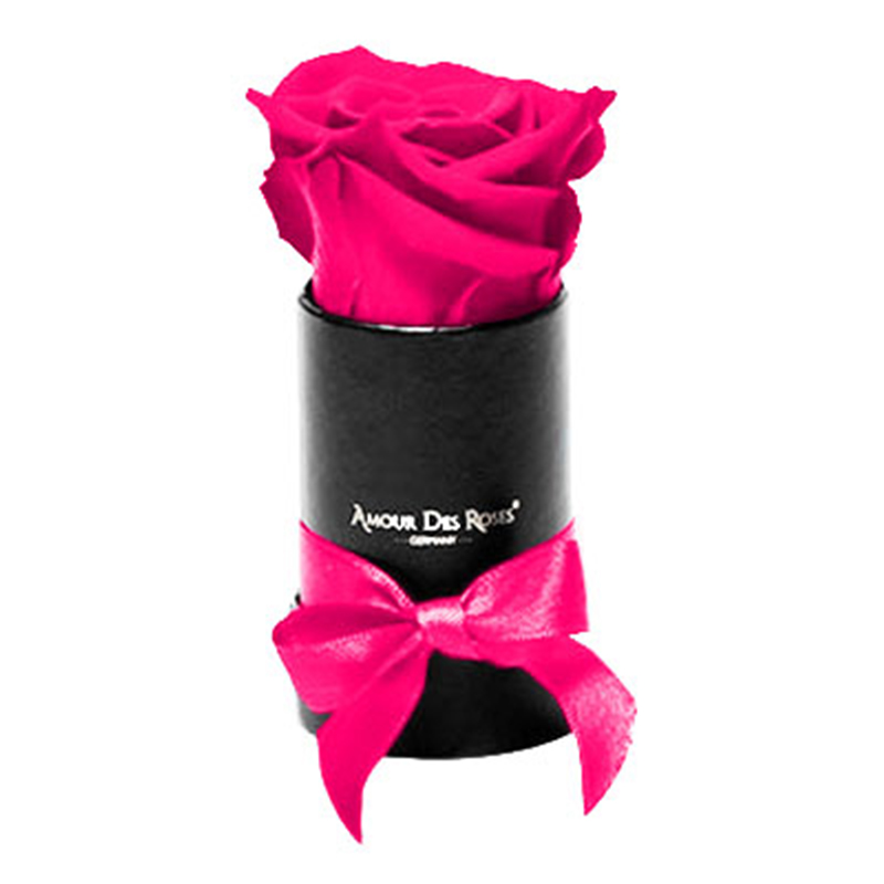 Black-Mini-Pink-Flowerbox