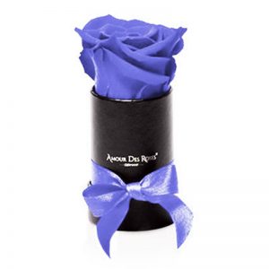 Black-Mini-Purple-Flowerbox