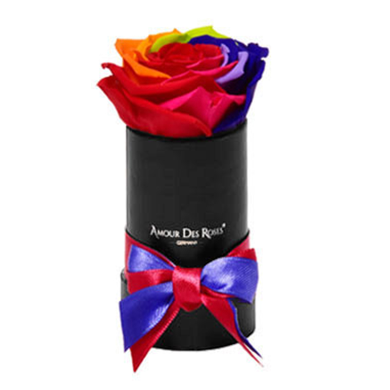 Black-Mini-Rainbow-Flowerbox