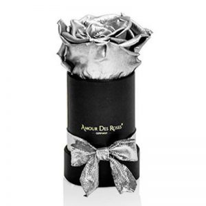 Black-Mini-Silver-Flowerbox