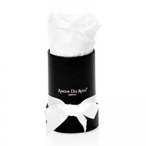 Black-Mini-White-Flowerbox