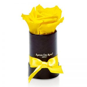 Black-Mini-Yellow-Flowerbox