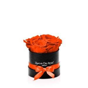 Infinity Black Orange Baby Rosebox