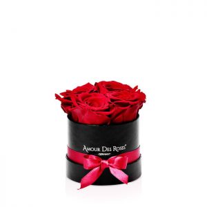 Infinity Black Red Baby Rosebox