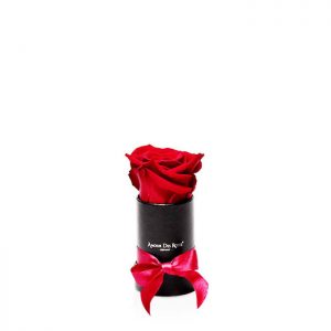Infinity Black Red Mini Rosenbox