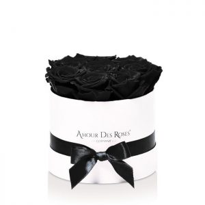 Infinity White Black Small Rosenbox