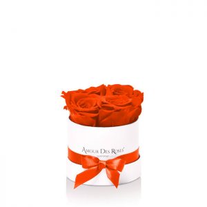 Infinity White Orange Baby Rosebox