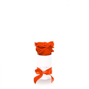 Infinity White Orange Mini Rosenbox