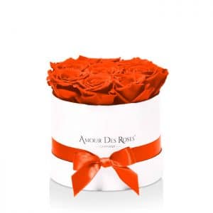 Infinity White Orange Small Rosenbox