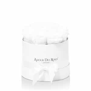 Infinity White White Small Rosenbox