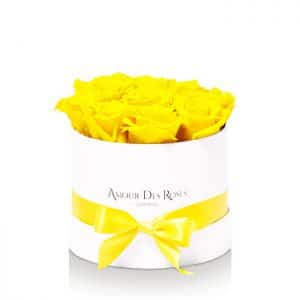 Infinity White Yellow Small Rosenbox