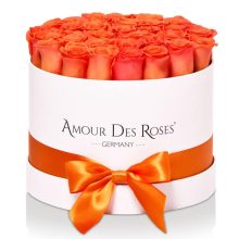 Natural White Orange Large Rosenbox