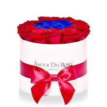 Natural White Red+Blue Midi Frame Rosenbox