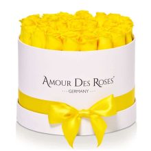 Natural White Yellow Large Rosenbox