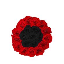 Red + Black Midi Frame