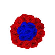 Red + Blue Frame Midi