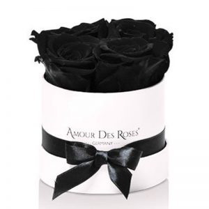 White-Baby-Black-Flowerbox