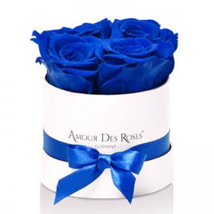 White-Baby-Blue-Flowerbox