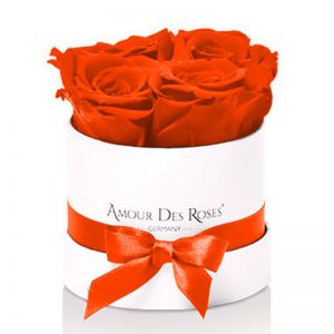 White-Baby-Orange-Flowerbox