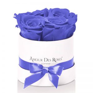 White-Baby-Purple-Flowerbox