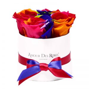 White-Baby-Rainbow-Flowerbox