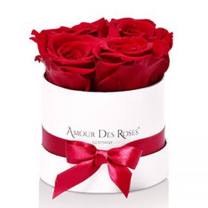 White-Baby-Red-Flowerbox