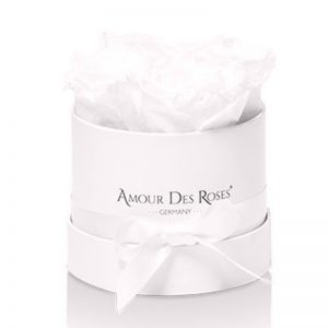 White-Baby-White-Flowerbox