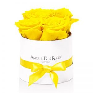 White-Baby-Yellow-Flowerbox