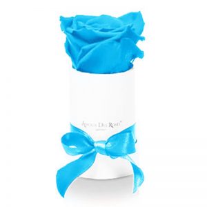 White-Mini-Babyblue-Flowerbox