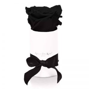 White-Mini-Black-Flowerbox