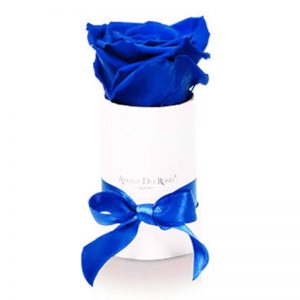 White-Mini-Blue-Flowerbox