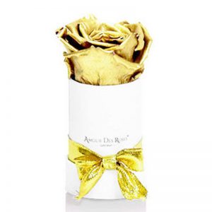 White-Mini-Gold-Flowerbox