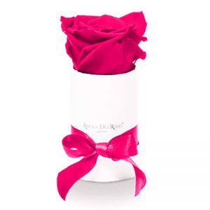 White-Mini-Pink-Flowerbox