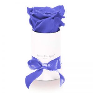 White-Mini-Purple-Flowerbox