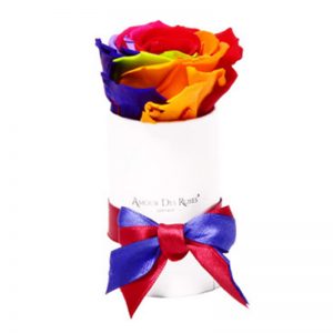 White-Mini-Rainbow-Flowerbox