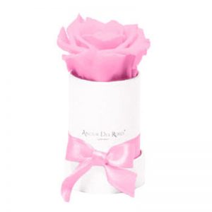 White-Mini-Rose-Flowerbox