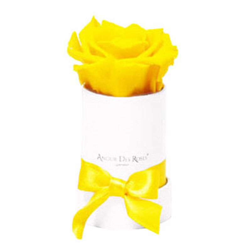White-Mini-Yellow-Flowerbox