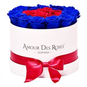 White Red Blue Frame Large Flowerbox