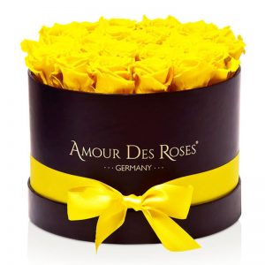 Black-Large-Yellow-Flowerbox