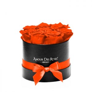 Infinity Black Orange Small Rosenbox