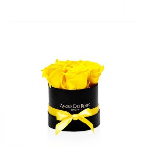 Infinity Black Yellow Baby Rosebox
