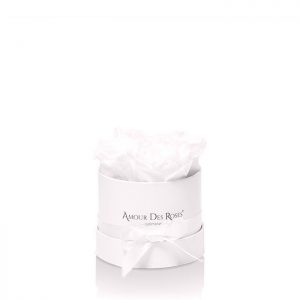 Infinity White White Baby Rosebox